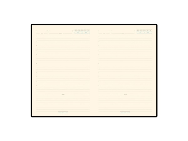 Ежедневник недатированный A5 Chelsea