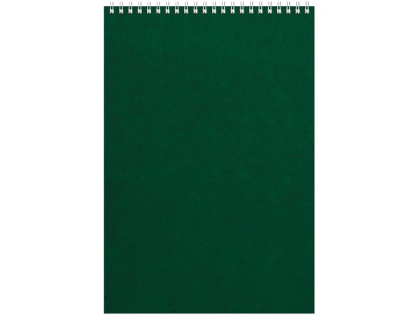 Бизнес - блокнот Альт А4 (198 х 285 мм) Office 60 л., зеленый