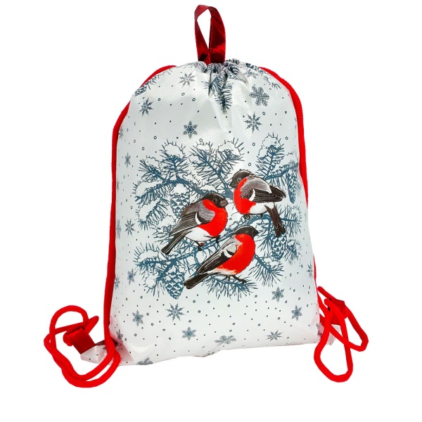 РЮКЗАК ЗА ОКОШКОМ СНЕГИРИ синий (текстиль) до 1,6 кг (2)