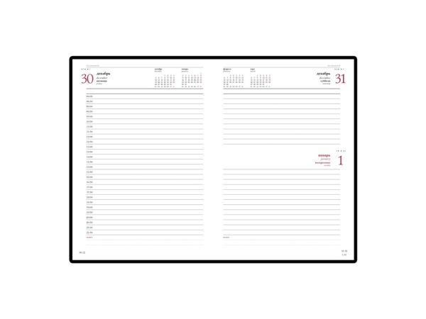 Ежедневник А5 датированный Leader на 2024 год