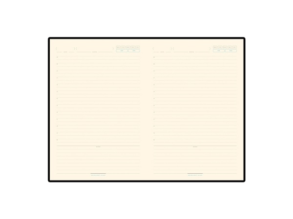 Ежедневник недатированный А5 Chelsea