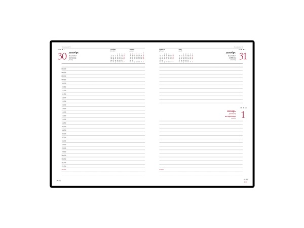 Ежедневник А5 датированный Бумвинил на 2022 год