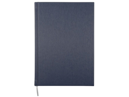 Ежедневник недатированный А5 Probe AR