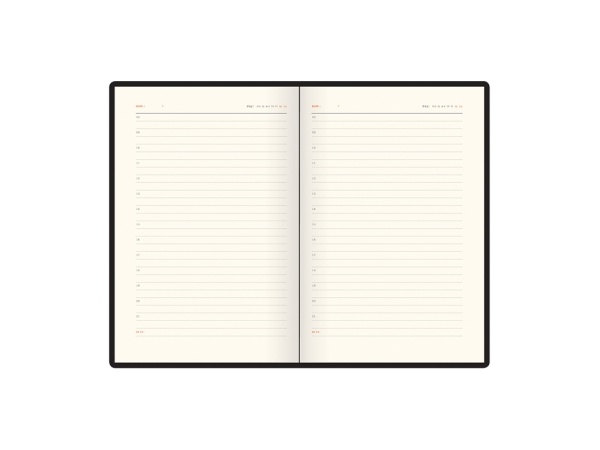 Ежедневник недатированный А5 Boston